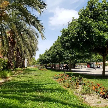 Estilo Moderno Daire Alicante